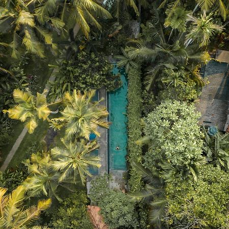 Hotel Dreamtime Hikkaduwa Exterior foto