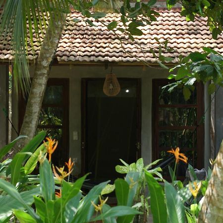 Hotel Dreamtime Hikkaduwa Exterior foto