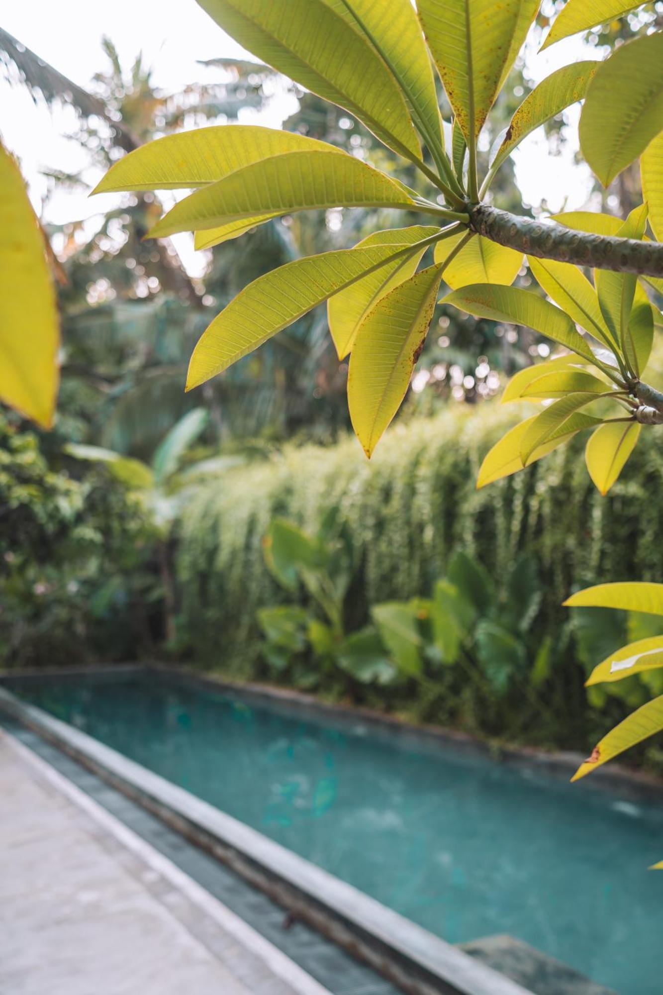Hotel Dreamtime Hikkaduwa Exterior foto