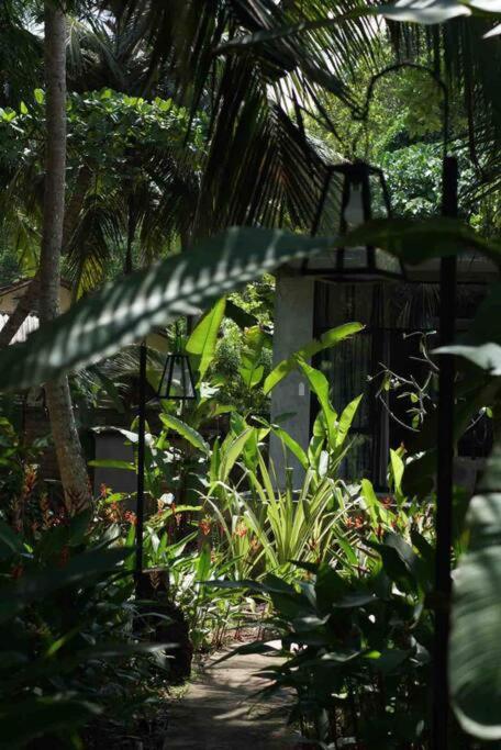 Hotel Dreamtime Hikkaduwa Exterior foto