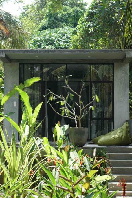 Hotel Dreamtime Hikkaduwa Exterior foto